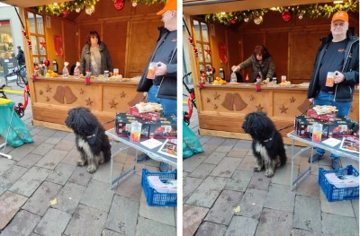 Tafel Paderborn mit Weihnachtshütte